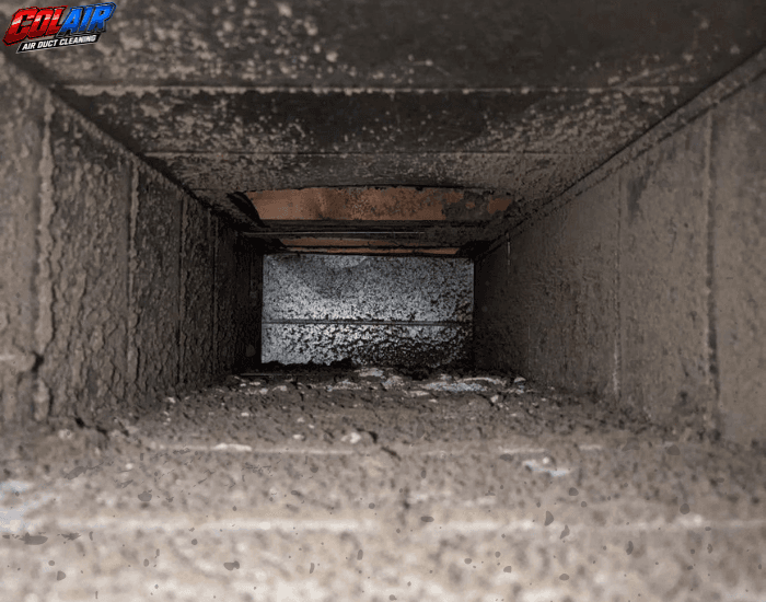 Ottawa home air duct, example 2 before cleaning