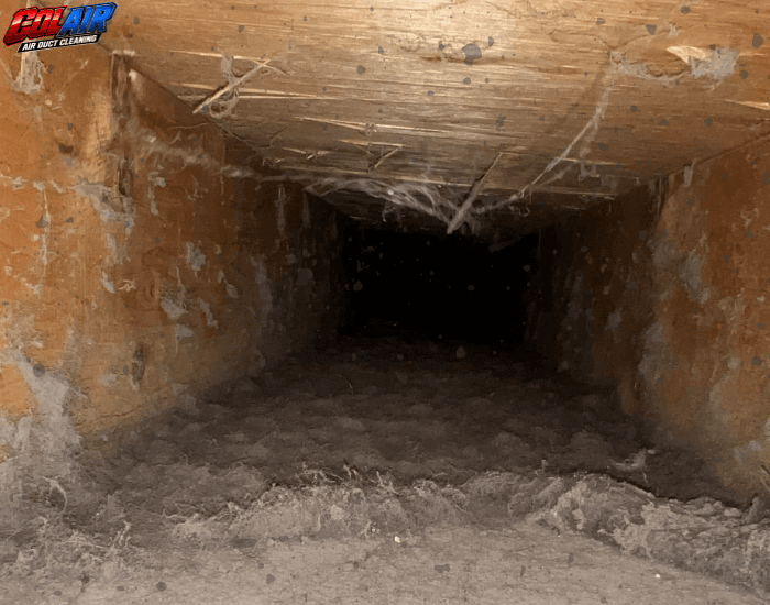 Ottawa home air duct, example 3 before cleaning